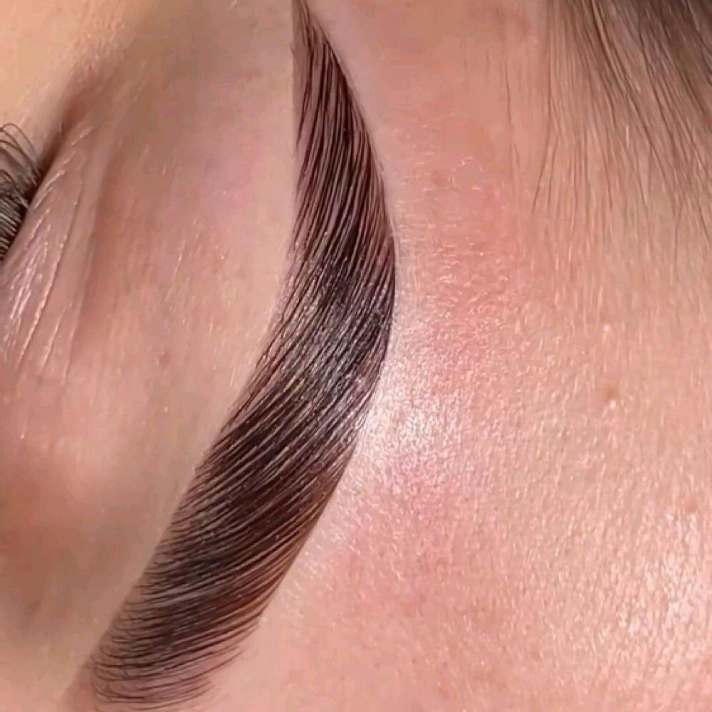 Brow Lamination & Stain at ILB Esthetics in Union City, CA