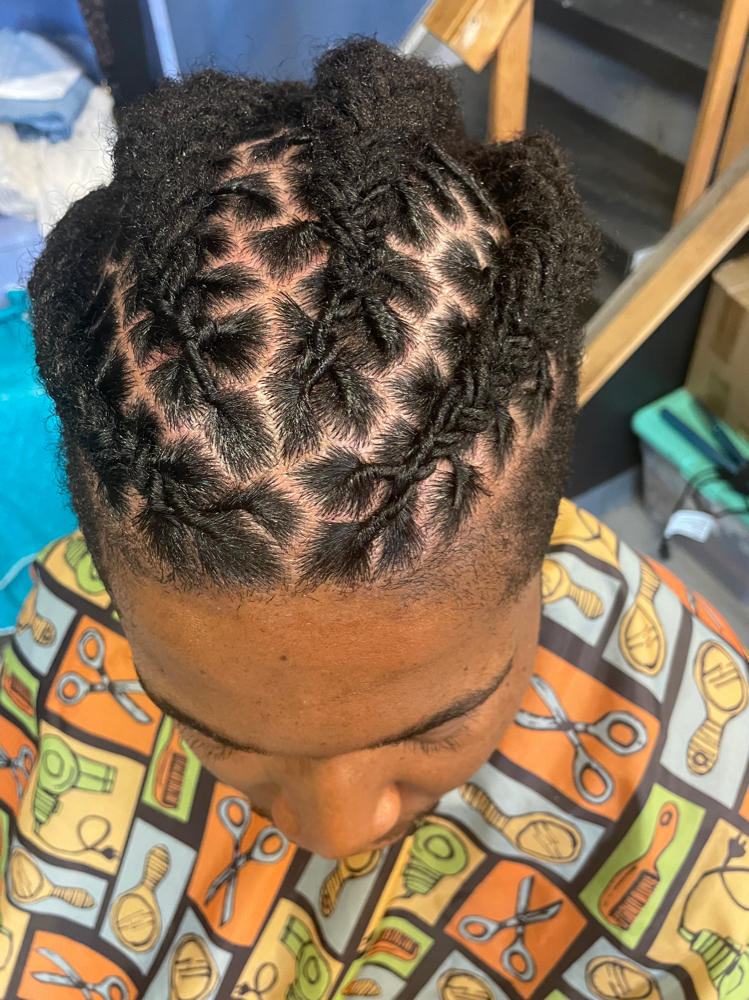 Loc (Retwist)