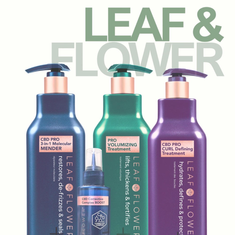 Leaf & Flower Hair Treatment at Hair X Evelyn in Bakersfield, CA