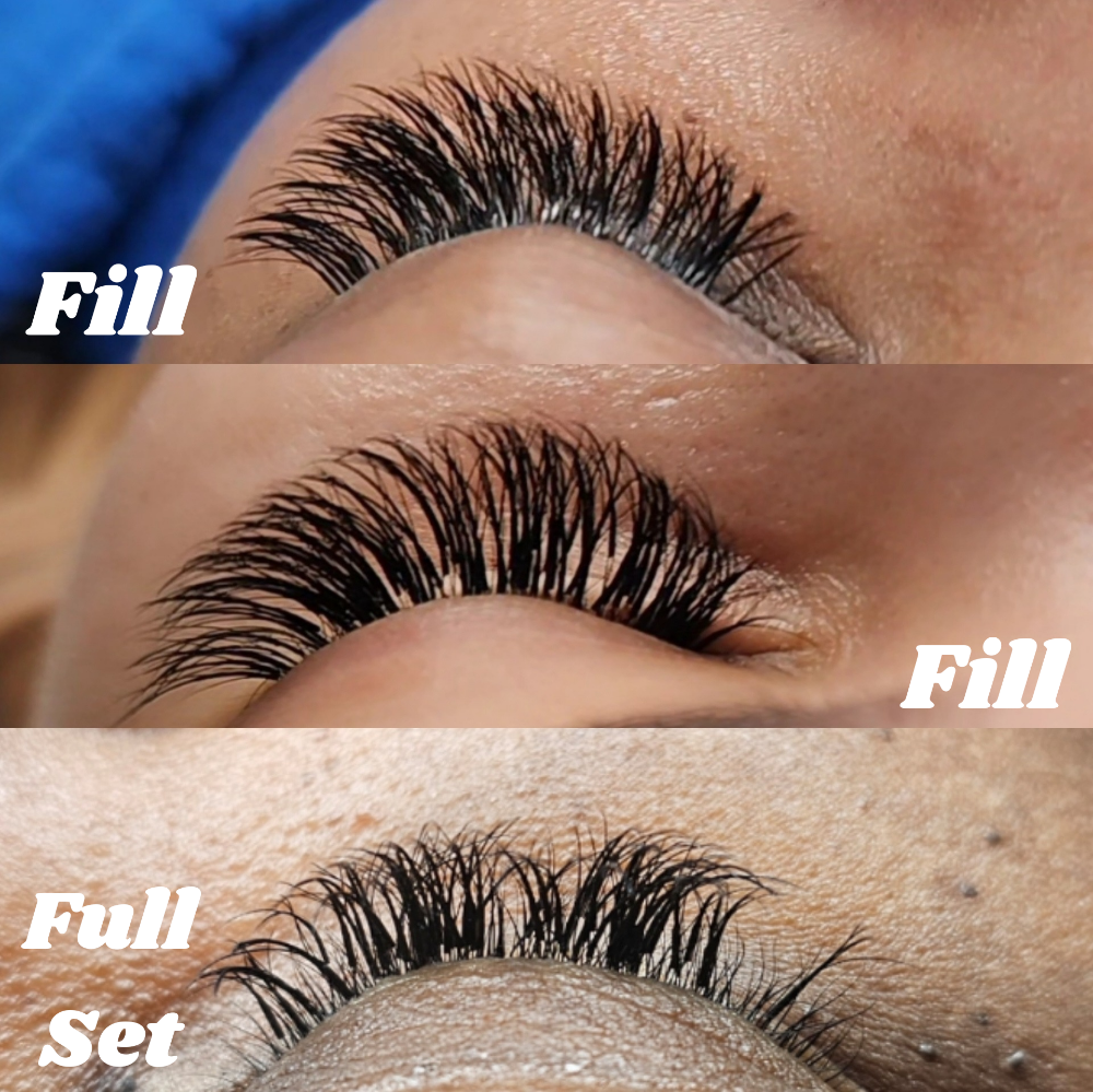 The Timeless Classic 2-3 Week Fill