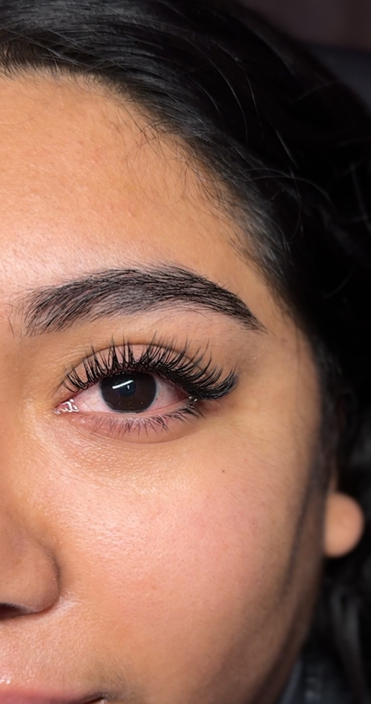 Wet Set Lashes