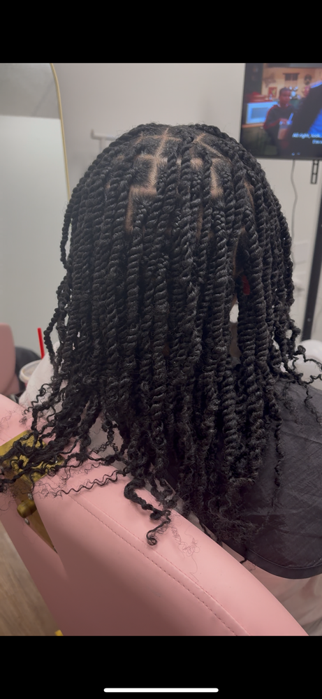 Mini Spring Twist