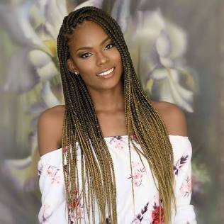Single Box Braids