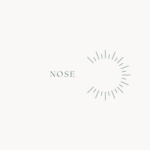 Nose