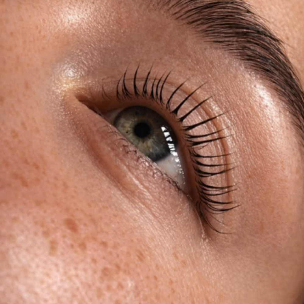 Lash Tint at Graceful Esthetics in Flower Mound, TX