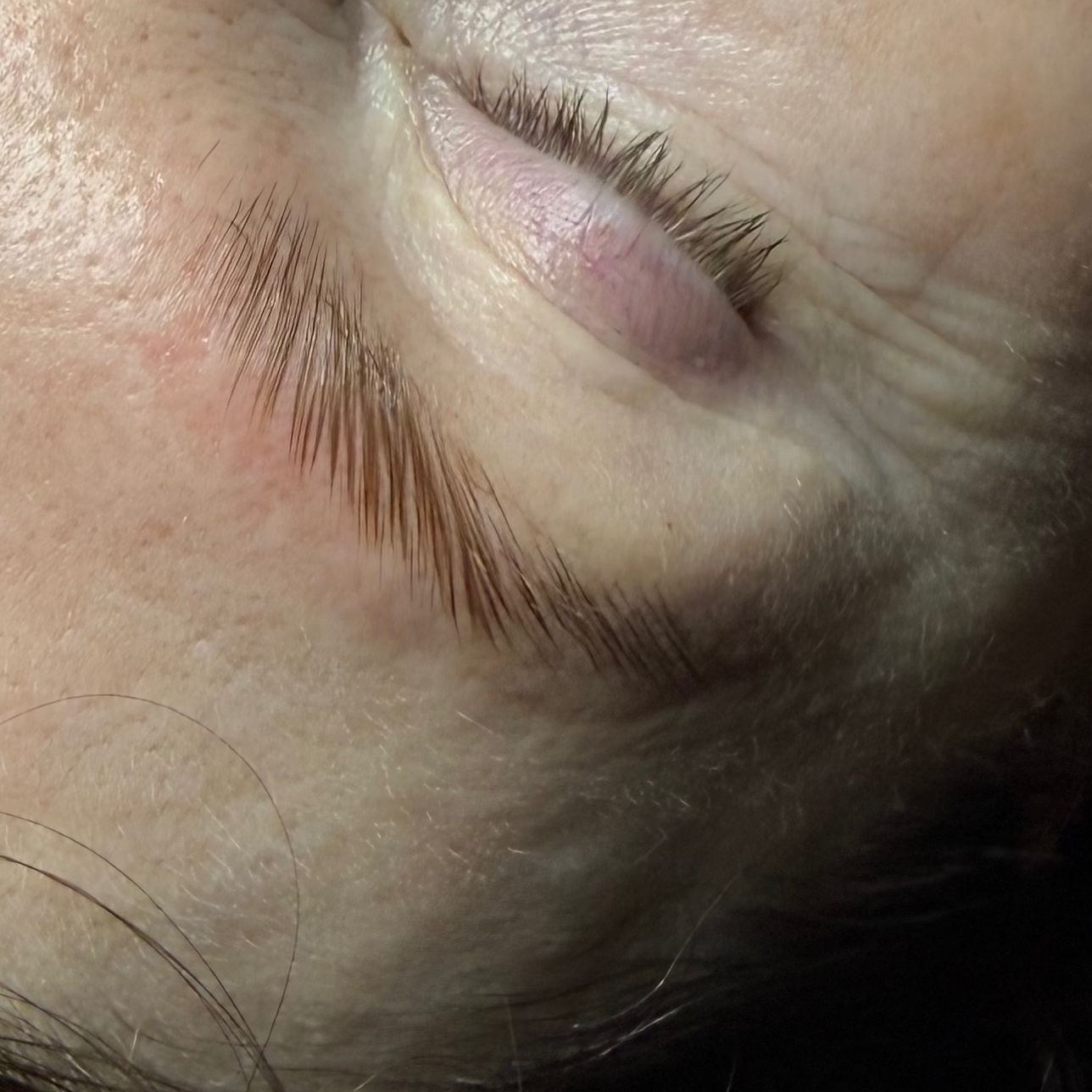 Brow lamination + tint at REvitalized skin and wax studio in Salem, IN