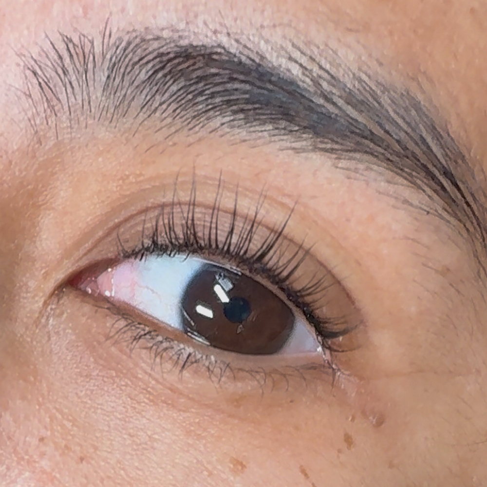 Korean Lash Lift at Little Rock Day Spa in Little Rock, AR