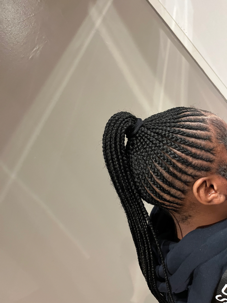 Small braided ponytail long