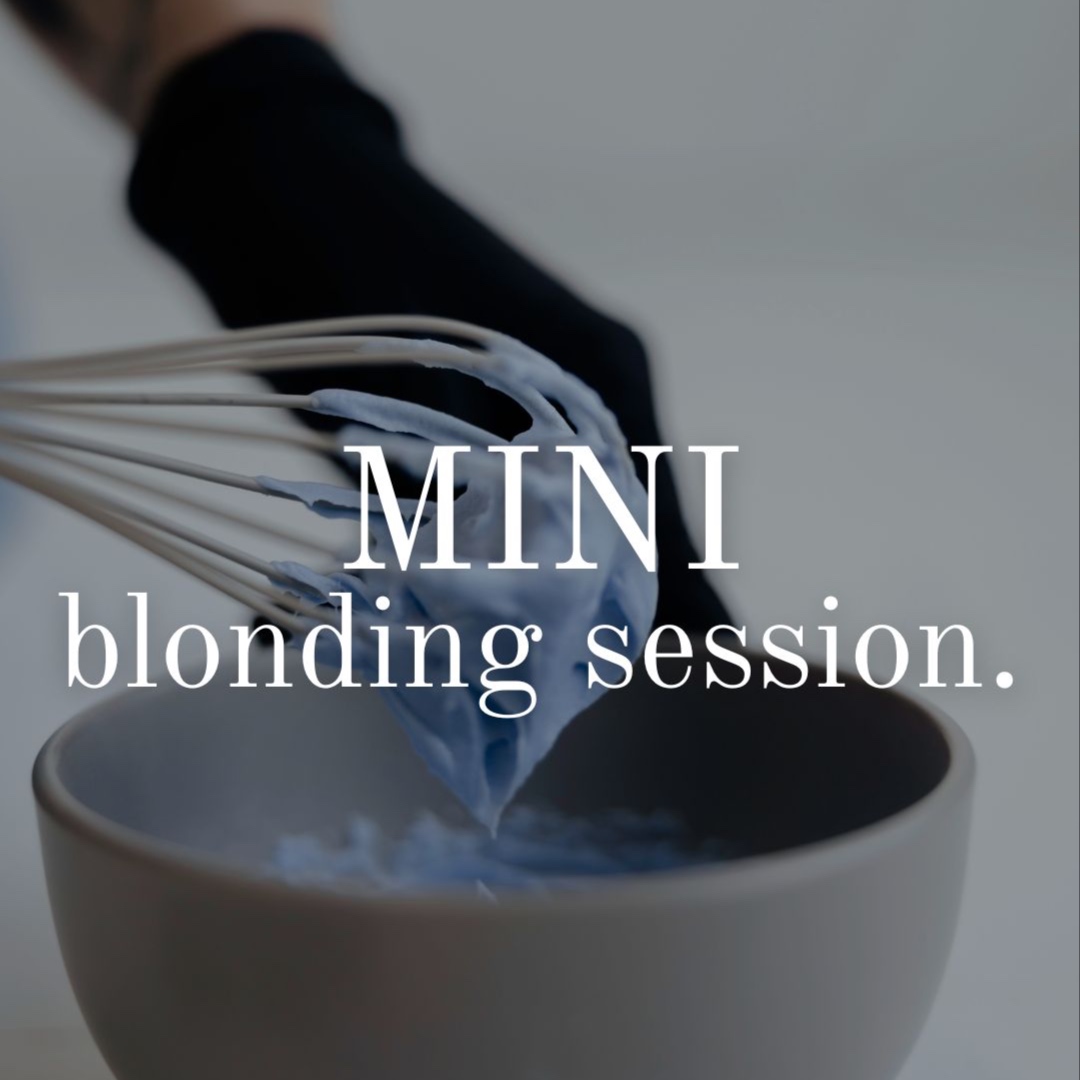 MINI | Lived-In Blonding Session