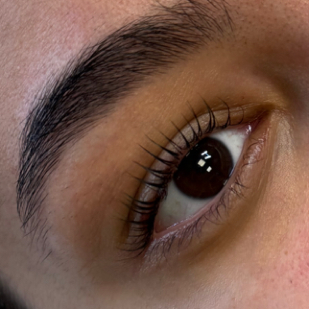 Korean Lash Lift + Tint