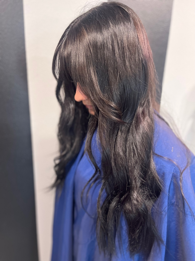 All Over Color + Cut & Style