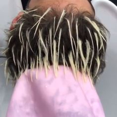 Cap Highlights