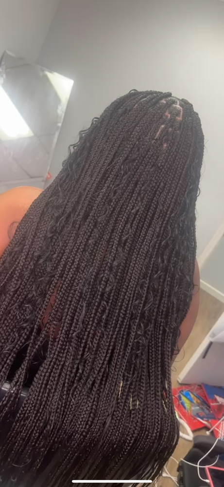 Small Box Braids (butt Length)