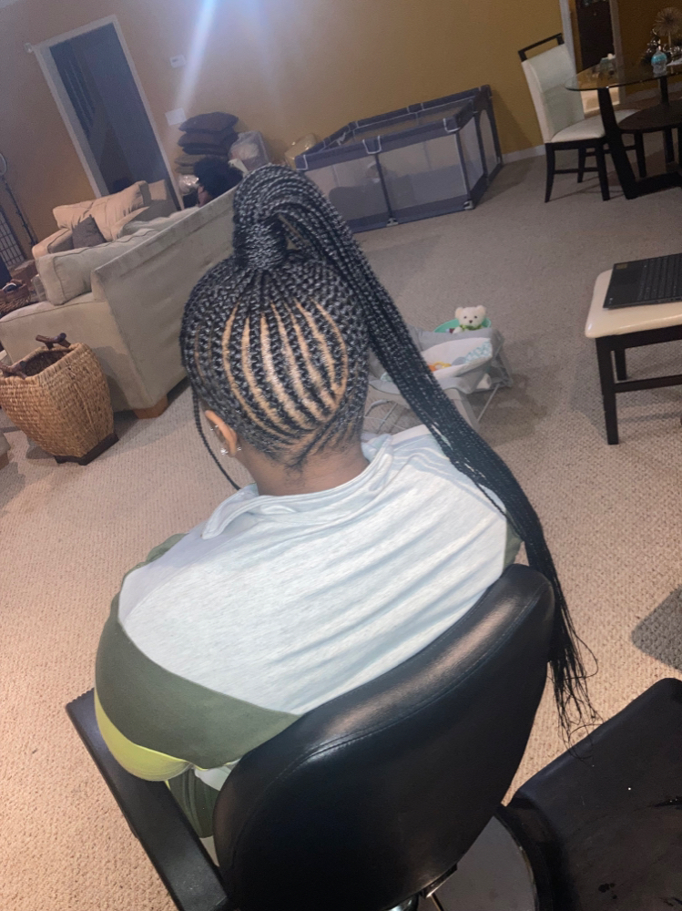 Small Braided Ponytail/bun