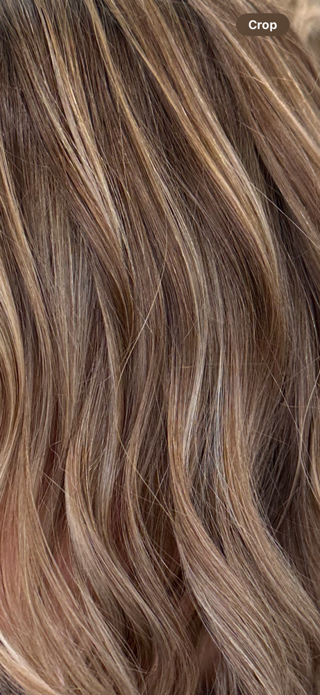 Reverse Balayage at Caylee Brown in Marshalltown, IA