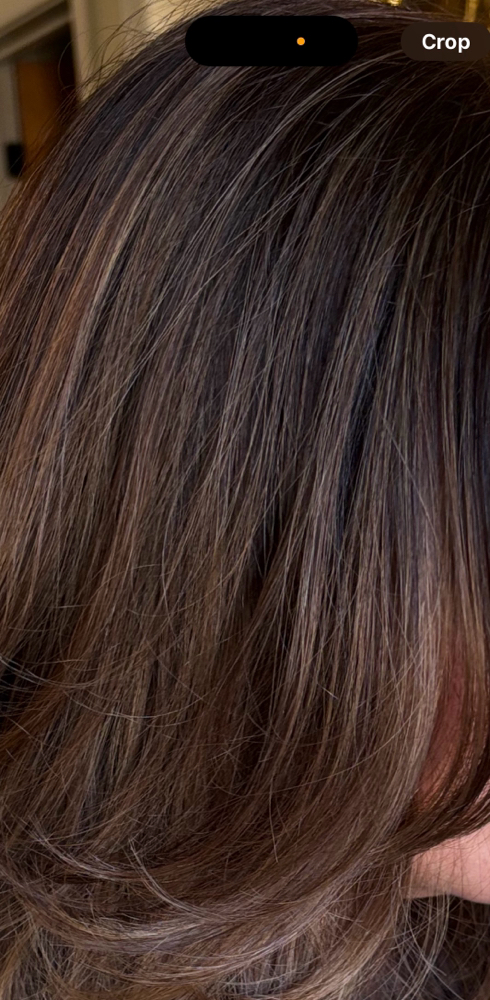 Root Touch Up Color