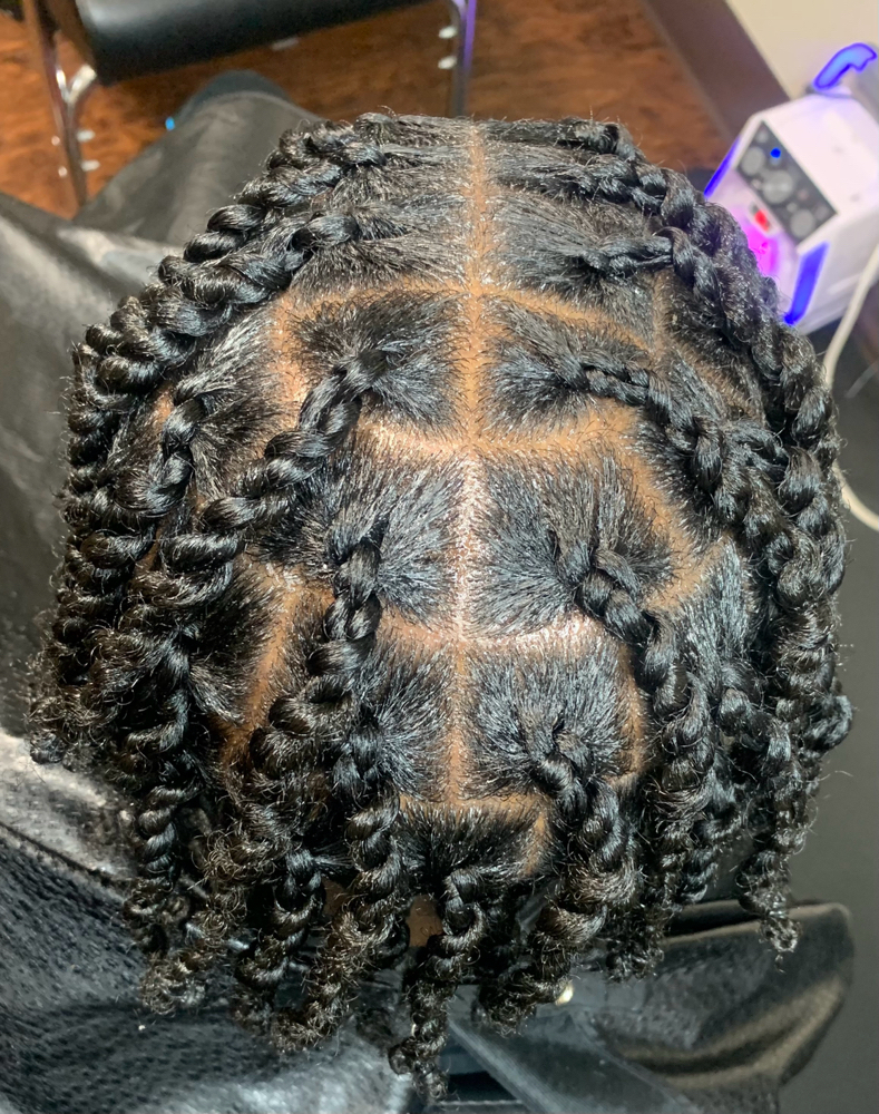 Natural 2 Strand Twist