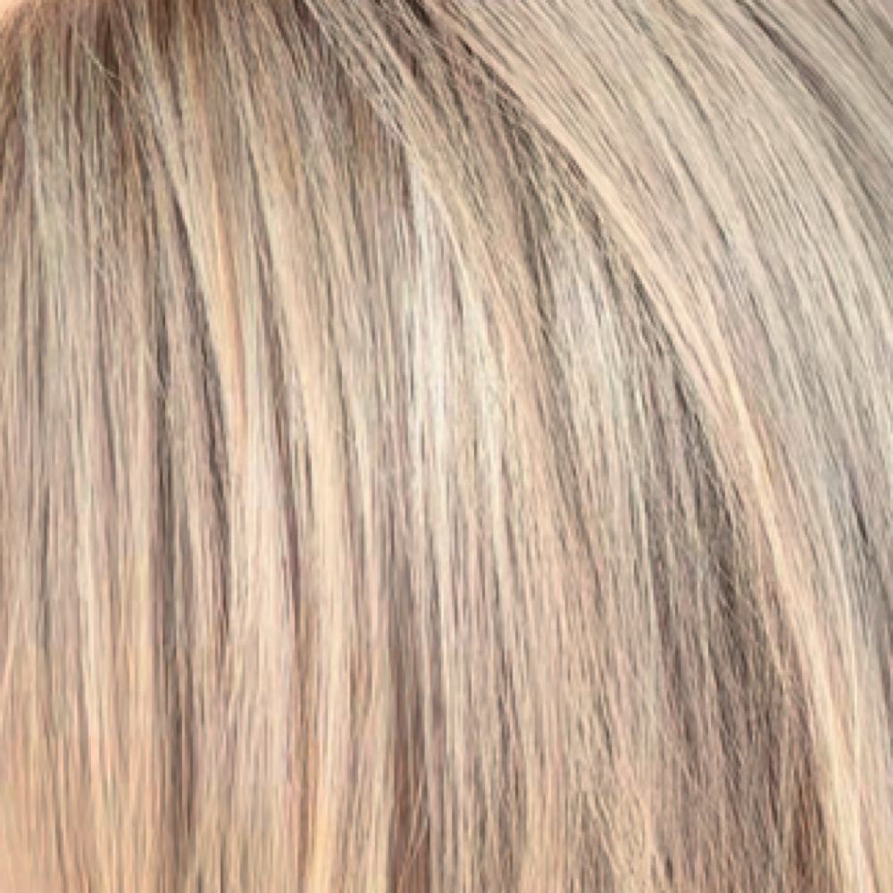 Full Highlight at Vivarium in Annapolis, MD