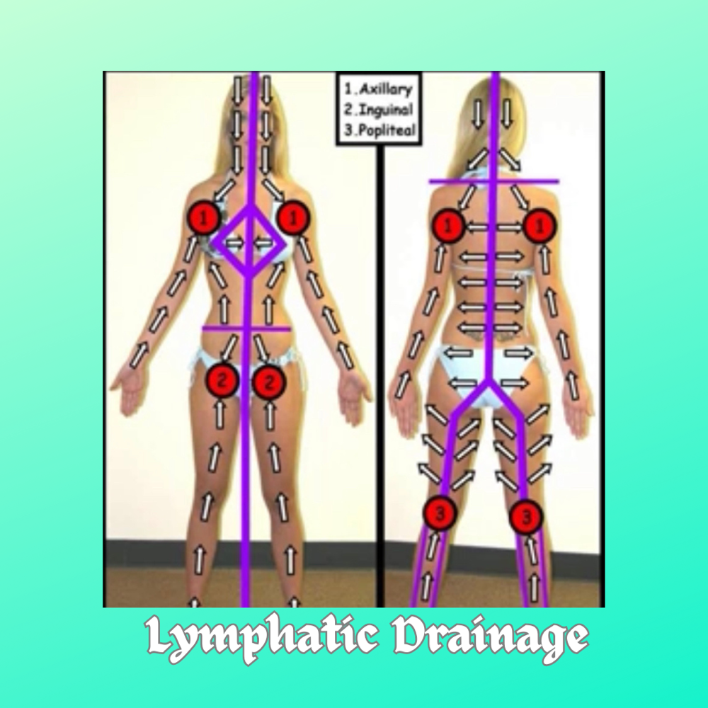Studio Manual Lymphatic Drainage