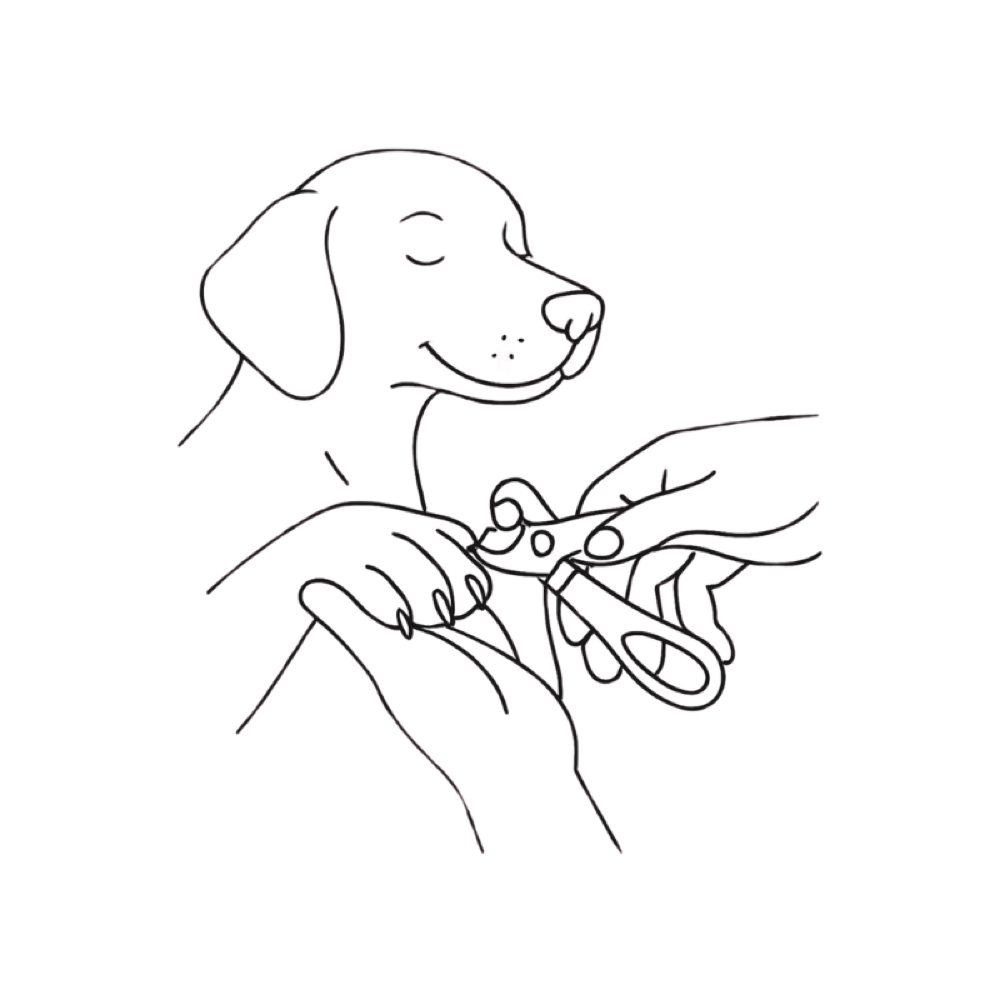 NAIL TRIMMING at Scooby Joe's Pet Spa in Hawthrone, CA