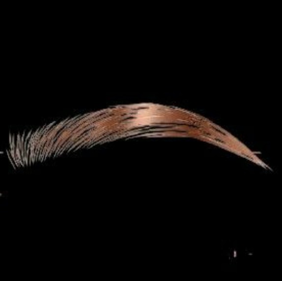 Signature Brow