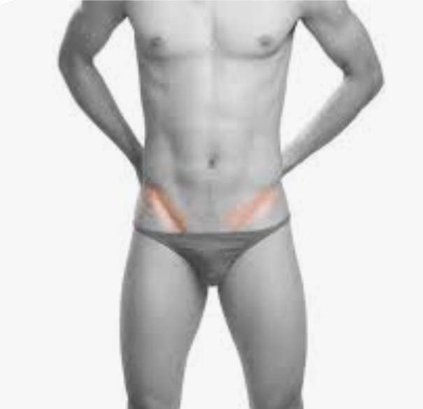 Laser Hair Bikini Men