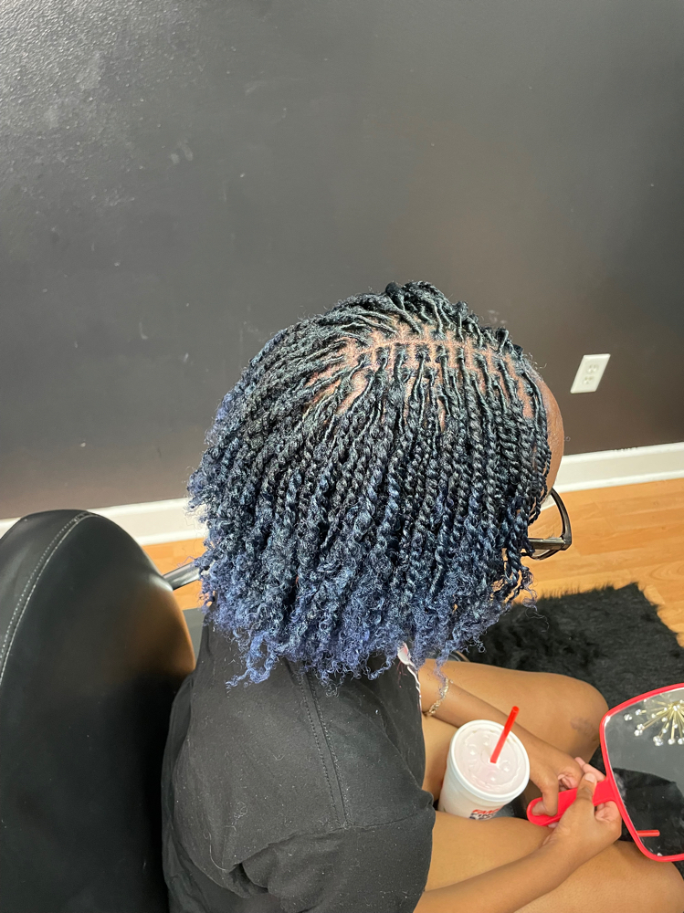 Starter Locs and Color