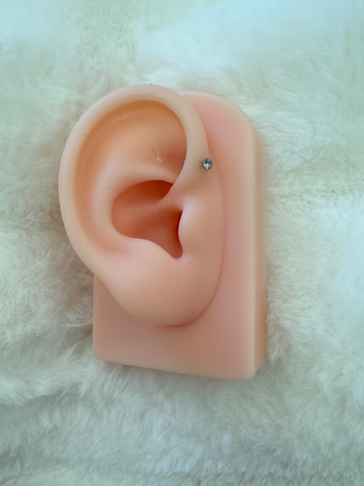 Forward Helix