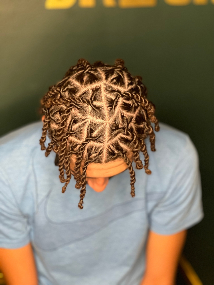 2strand Twist - (No Locs )