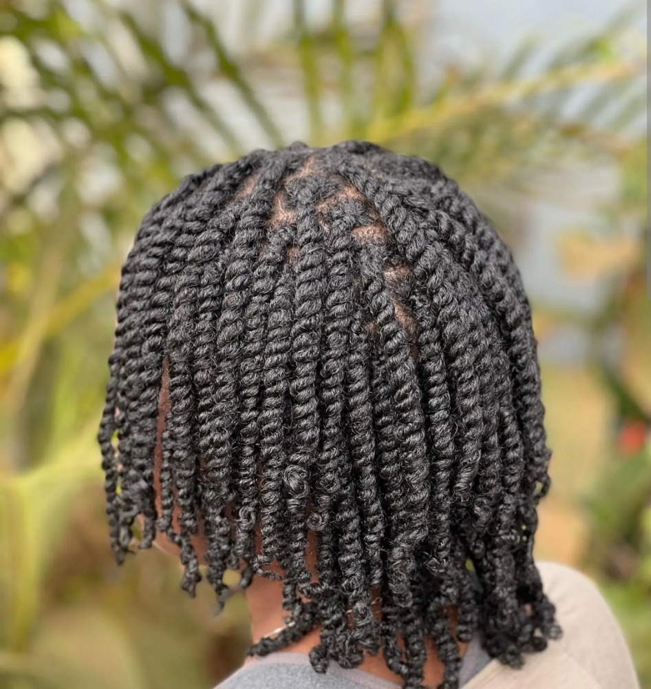 Two Strand Twist at Chop it up in Akron, OH
