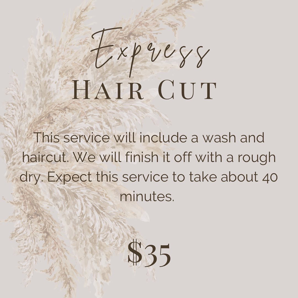 Express Hair Cut