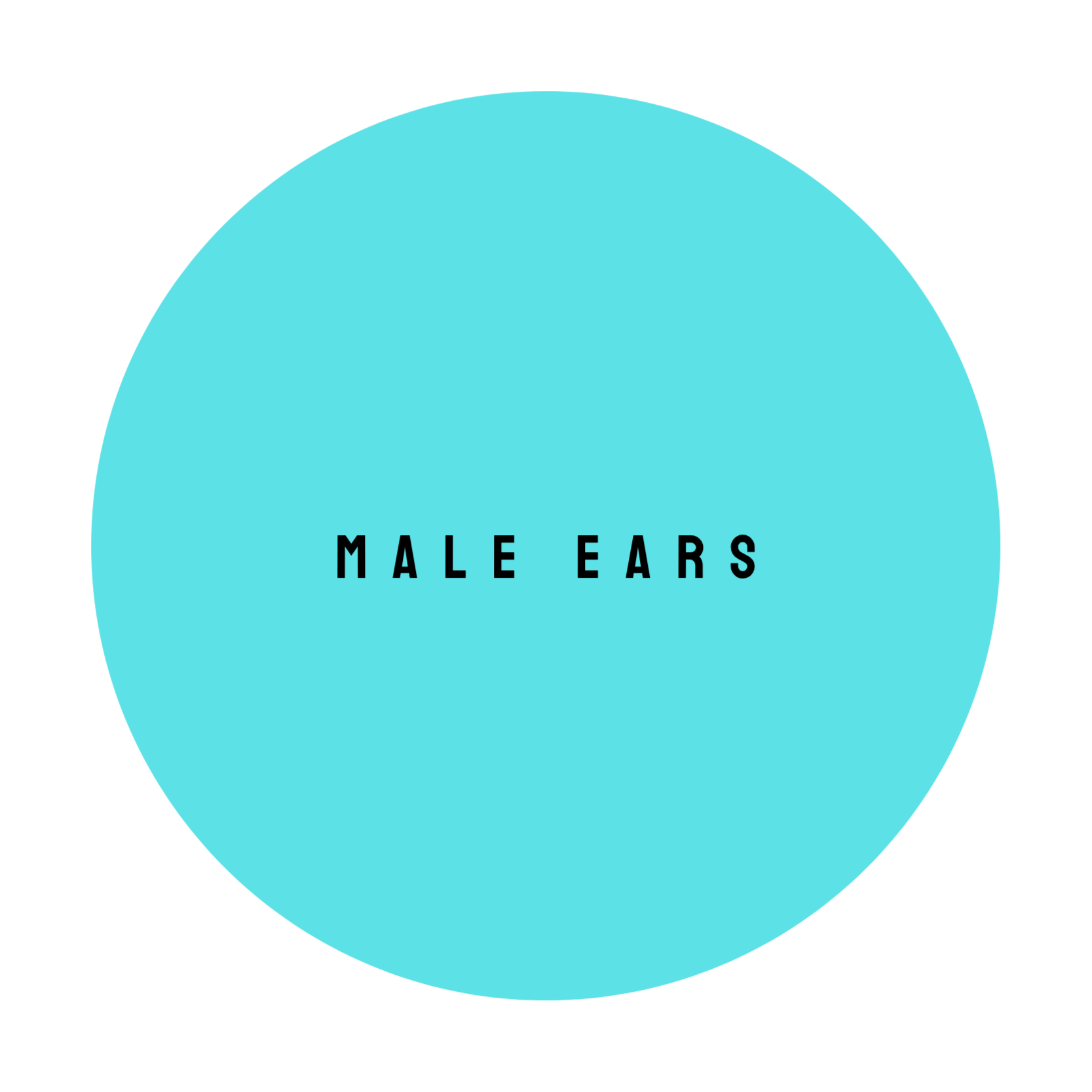 MALE EARS at The Dollhouse Wax Studio in Smyrna, TN