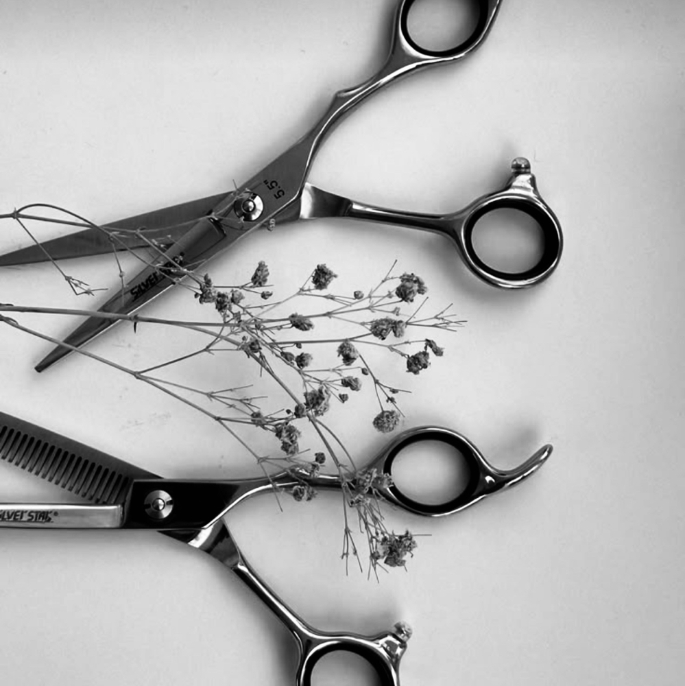 Kids Cut at Hair by Emma at Botanical Beauty Bar in Sandusky, OH