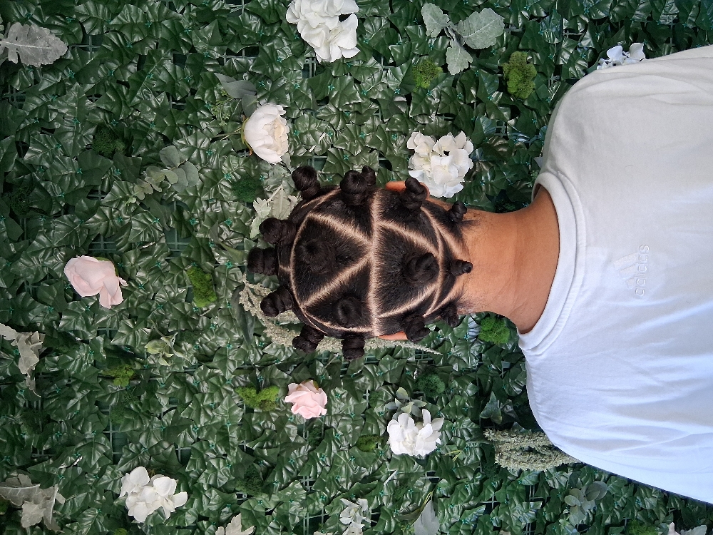 Bantu Knots at Styled By Marj in Nashua, NH