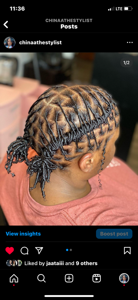 Adult Starter Locs