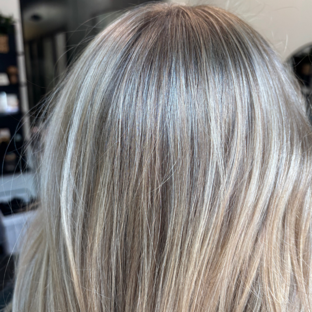 Partial Coverage Highlight at Opal Light Hair Studio in Jacksonville, FL