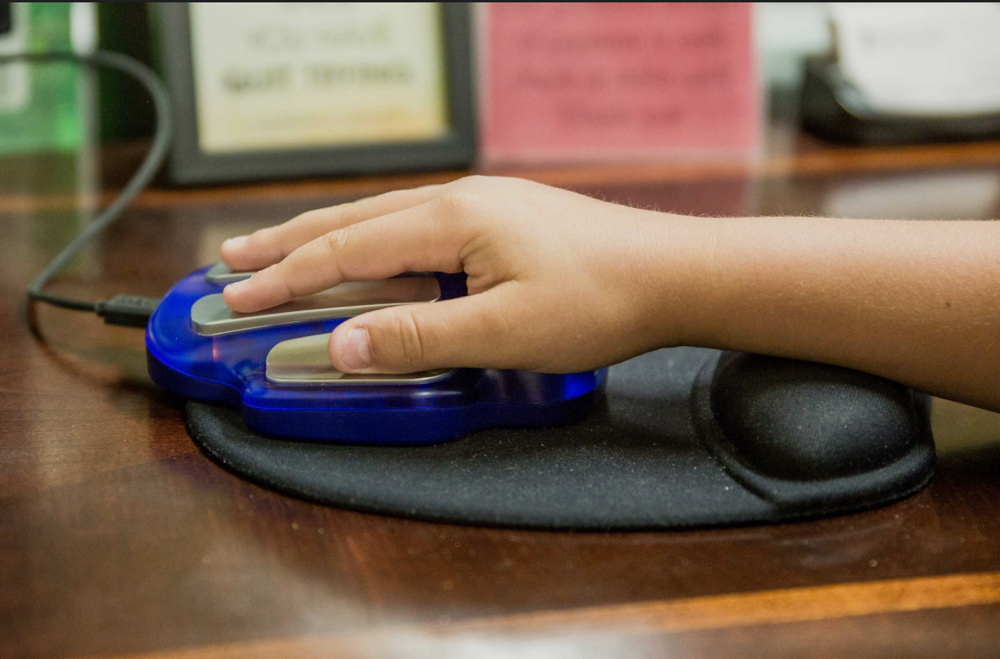 ✨ZYTO-Wellness Scan Analysis