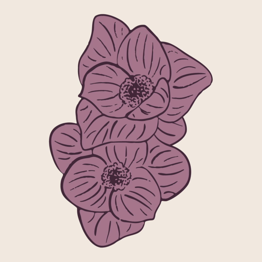 60 min Prenatal Massage at Blossom Bodywork in Cincinnati, OH