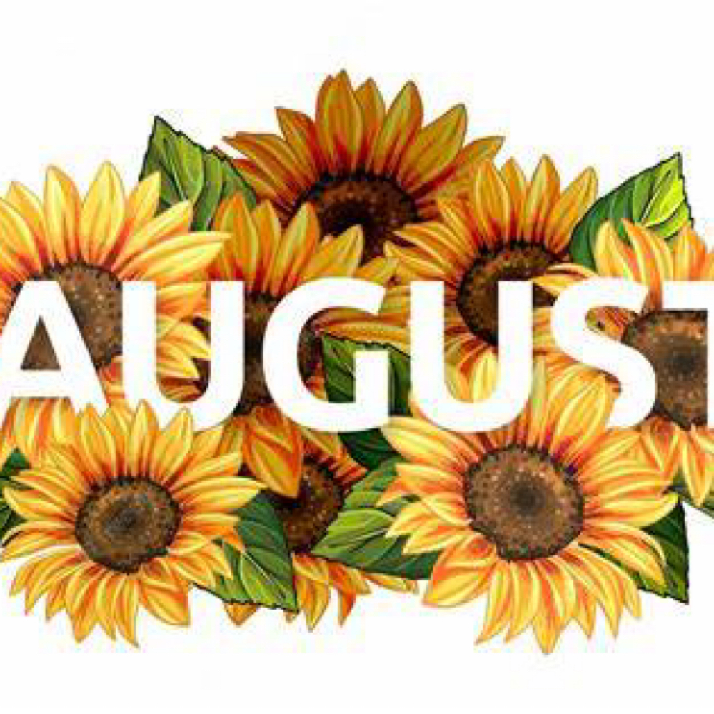 Aug Special: Restorative Facial at Danelle French Aesthetics in Indianapolis, IN