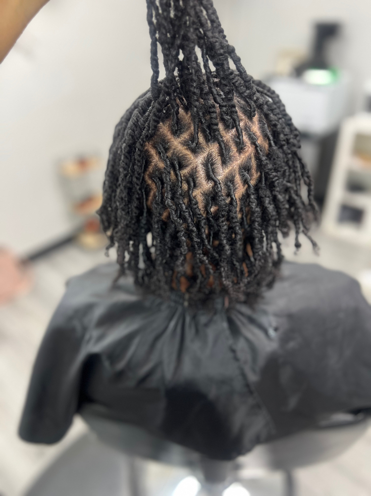 Smedium Size Starter Locs