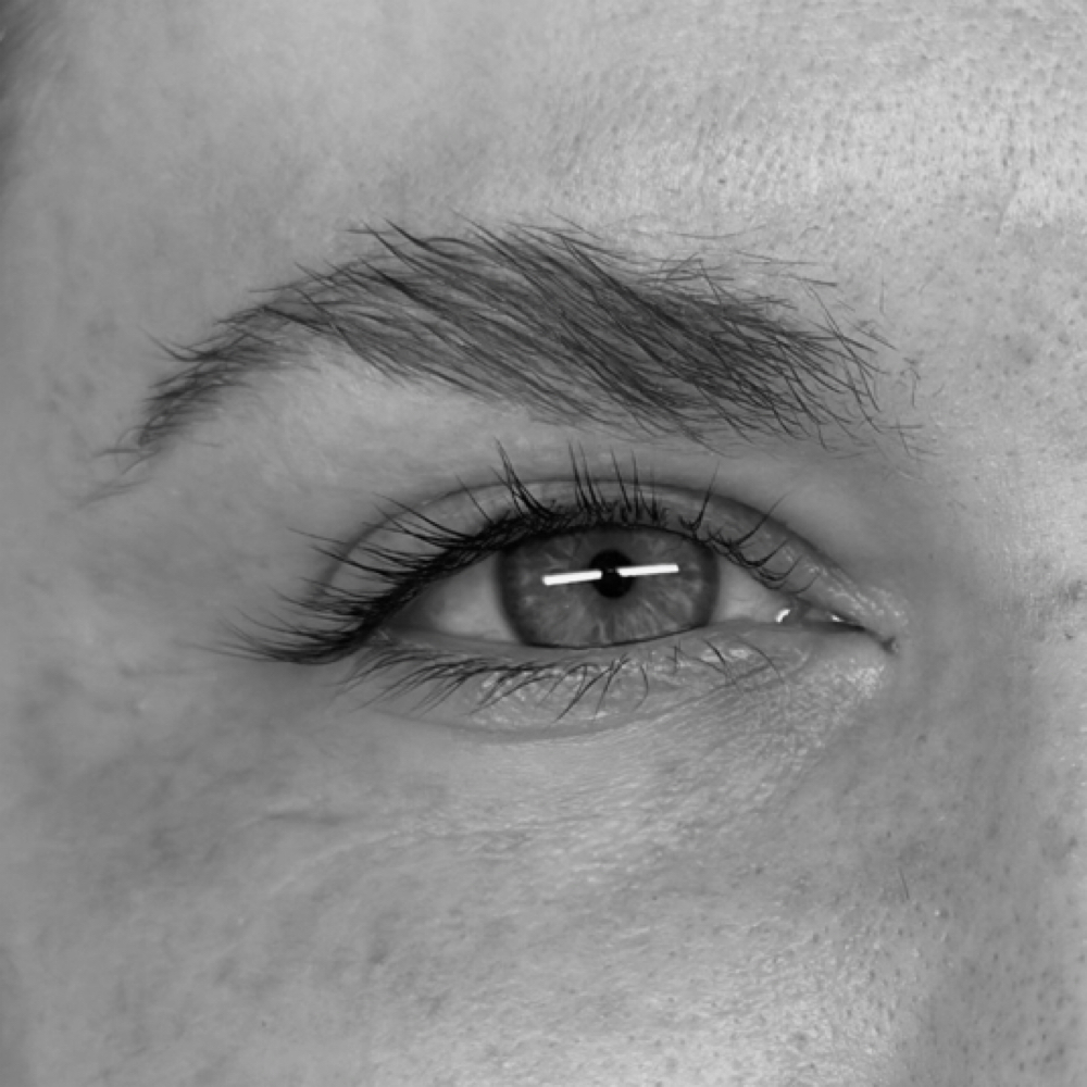 Lash Tint Only. at Beauty Lush in Baton Rouge, LA