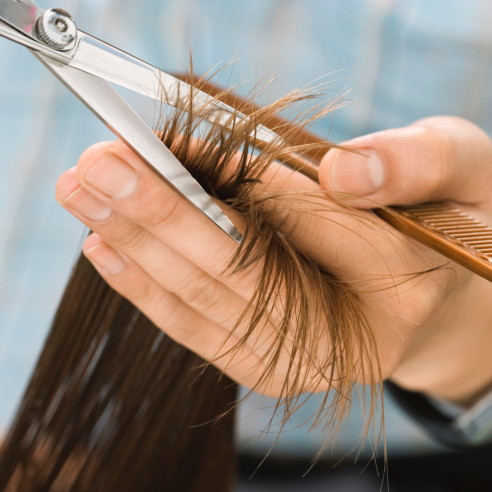 Women’s Haircut