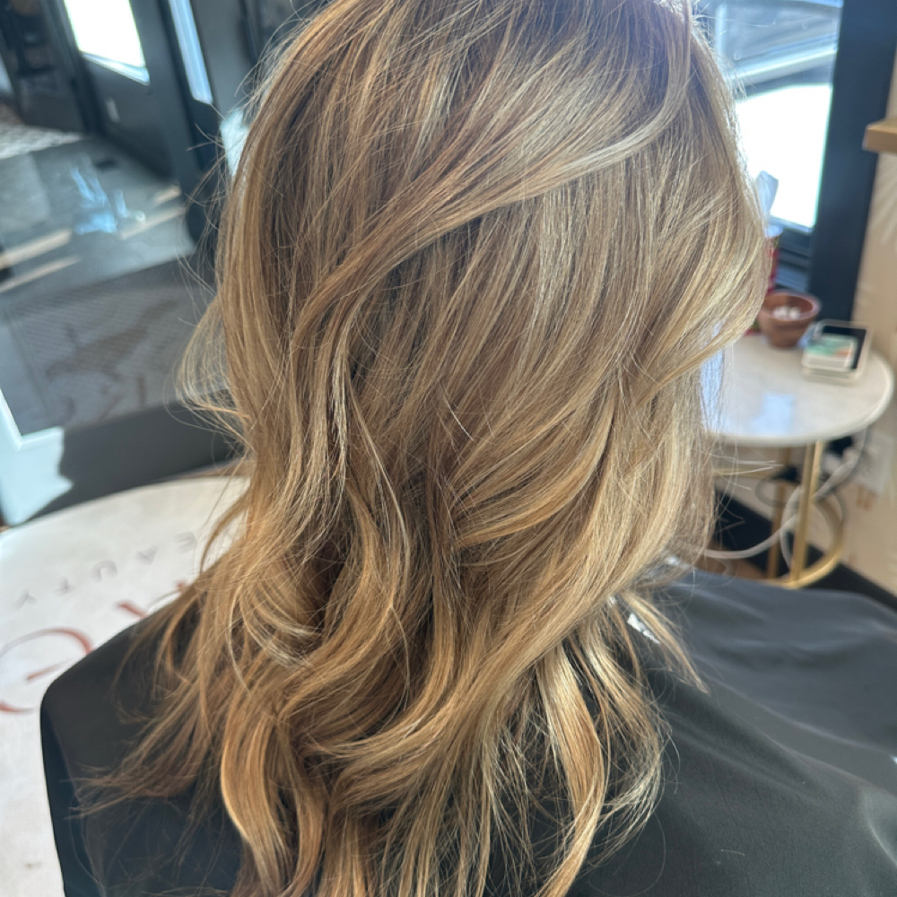 Color Root To Ends+ cut And Style at Frey. Beauty Bar in Dubuque, IA
