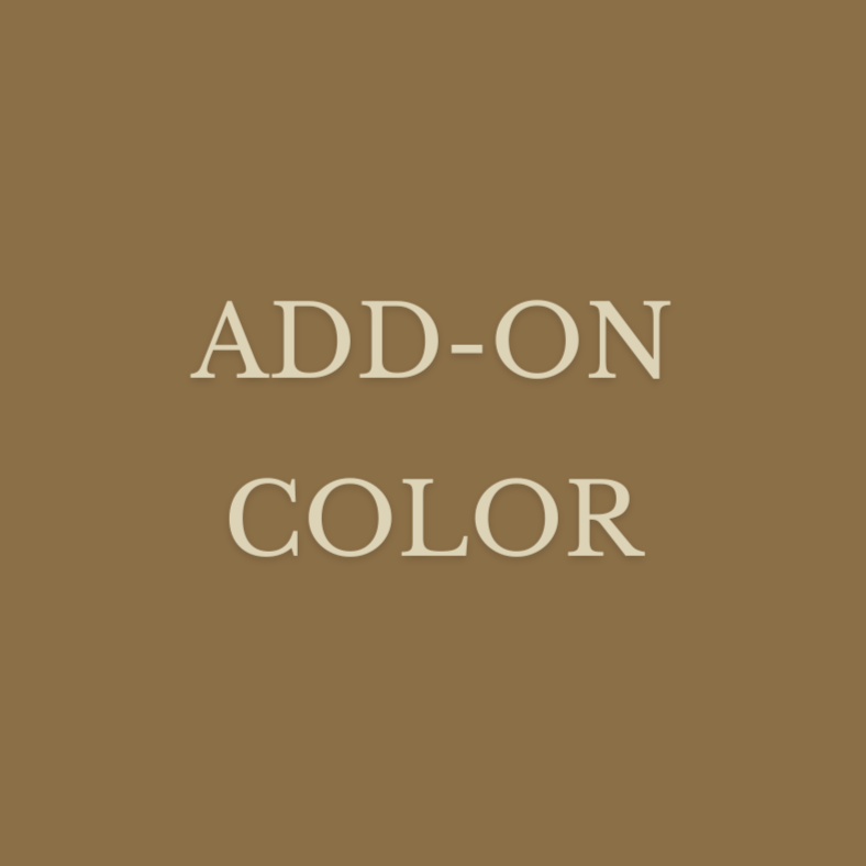 Add-On Color at The Mane Suite in Pearland, TX