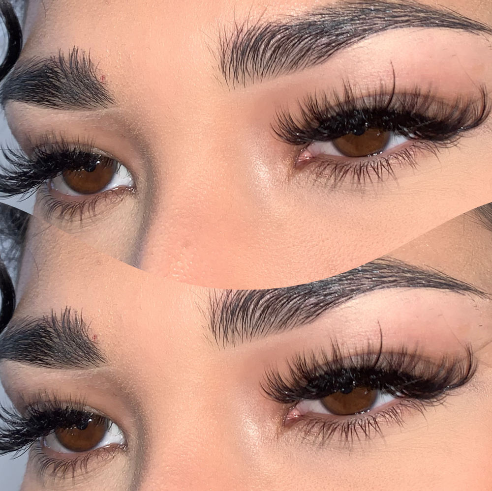 Wispy Lashes Fill