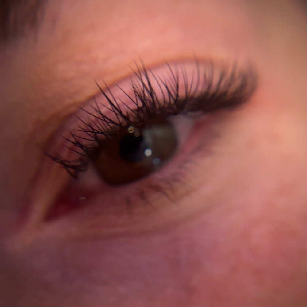 Lash special refill (new Clients) at Carrington Beauty Studio in Charlotte, NC
