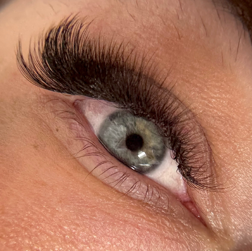 Lash special refill (new Clients) at Carrington Beauty Studio in Charlotte, NC