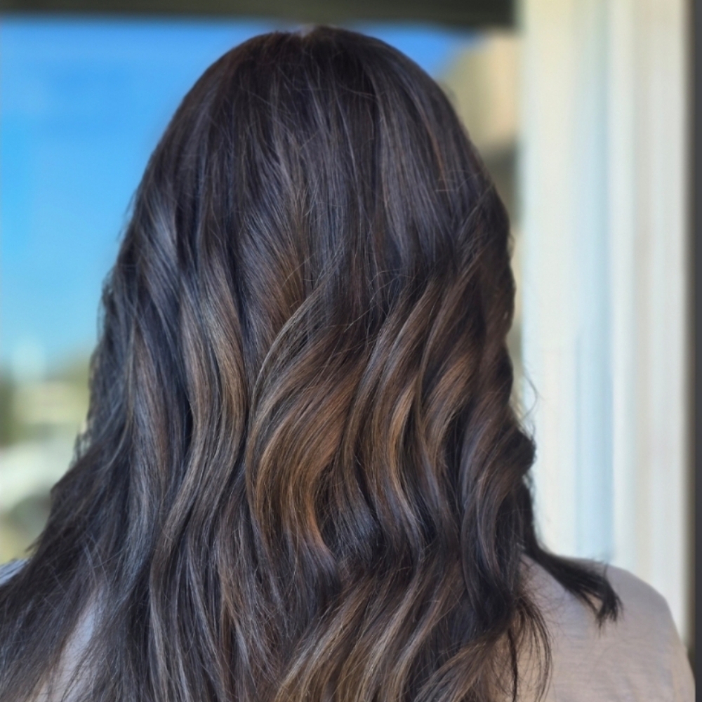 Highlights + Color + Cut at Dreamcuts and Styles Hair Salon in Fulshear, TX