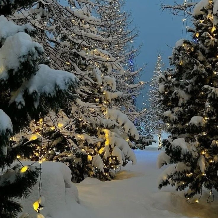 Peppermint Scalp Revival (add on)