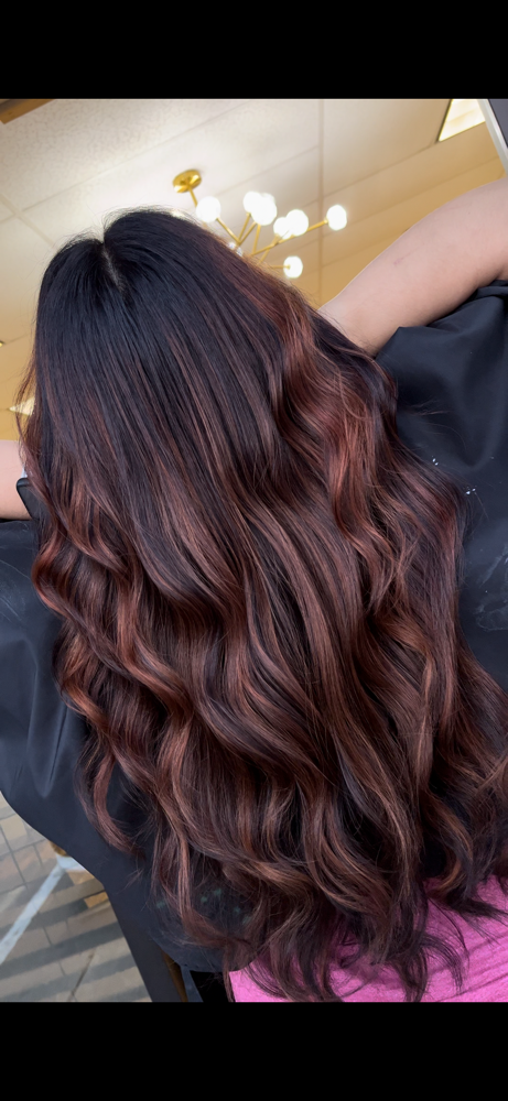 Partial Balayage+Toner+Haircut